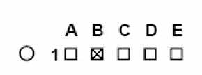 notion image