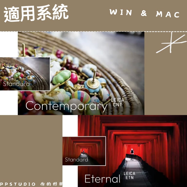notion image