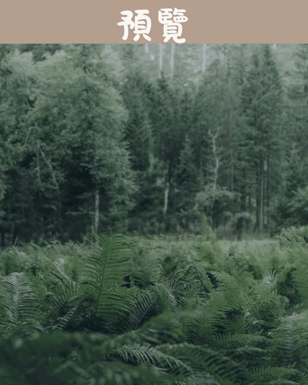 notion image