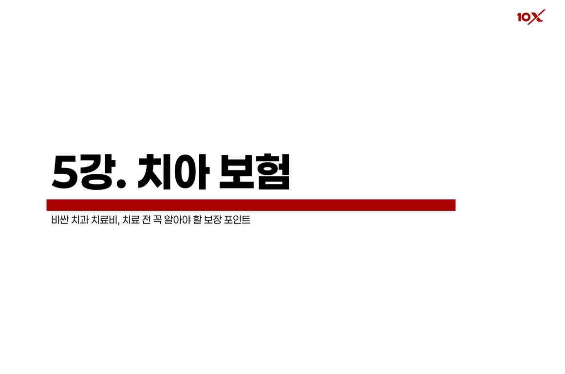 치아 보험