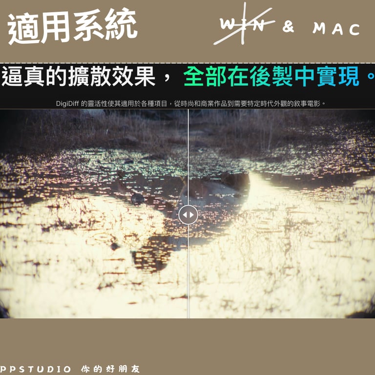 notion image