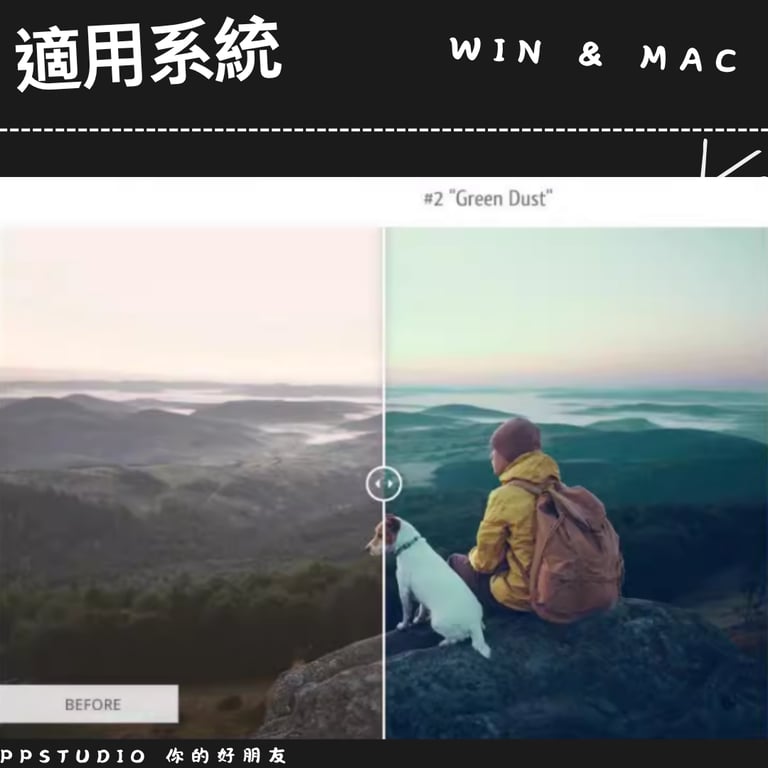 notion image