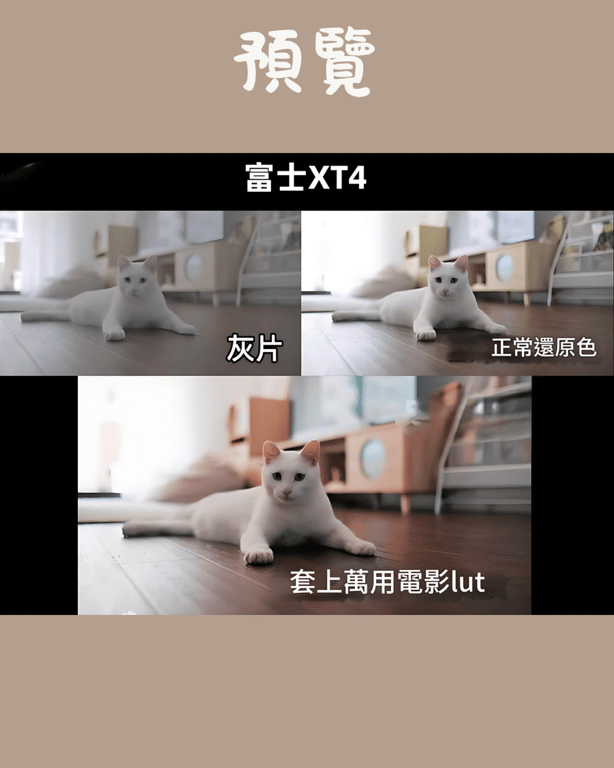 notion image