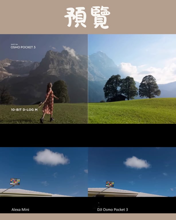 notion image