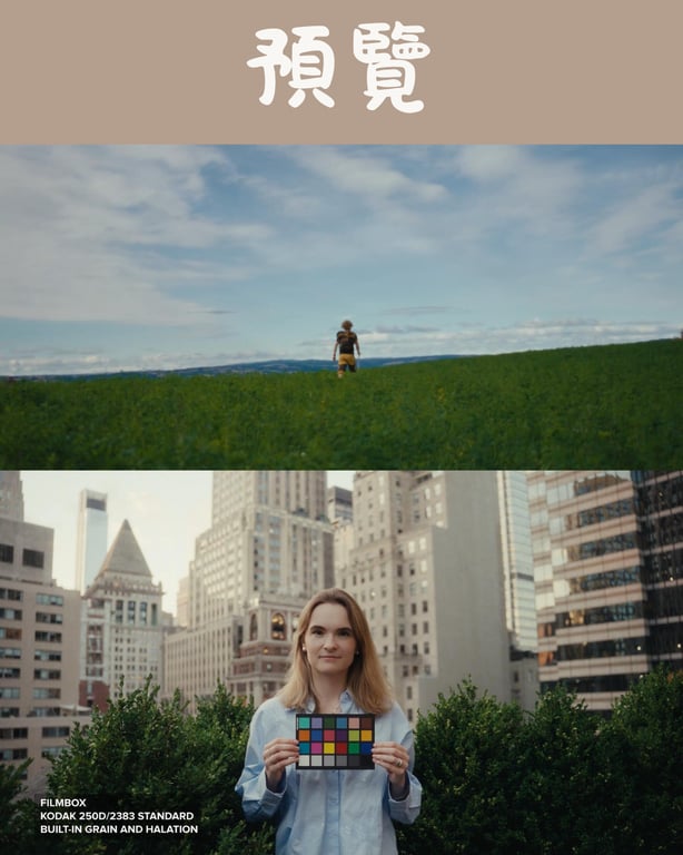 notion image
