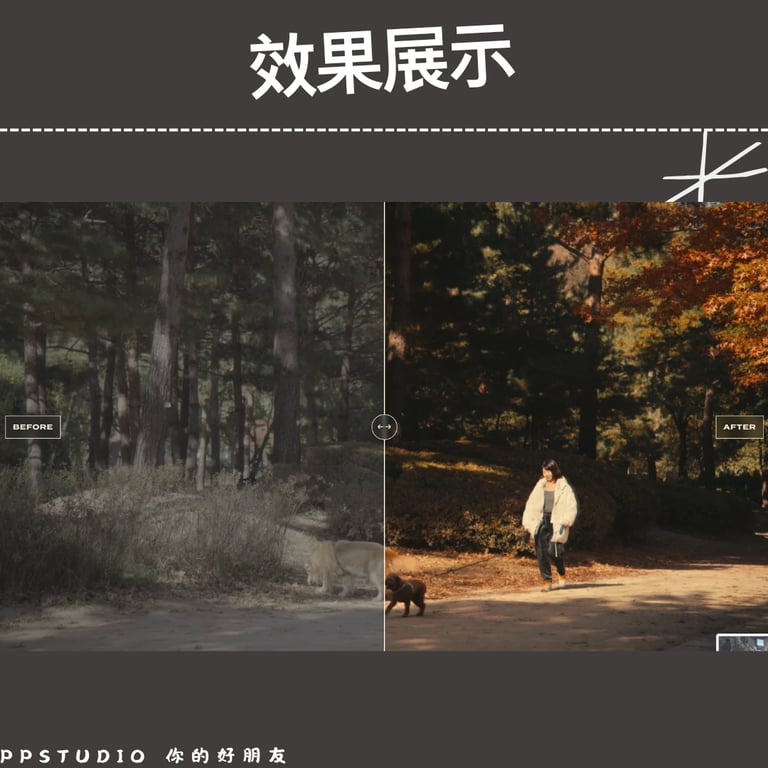 notion image