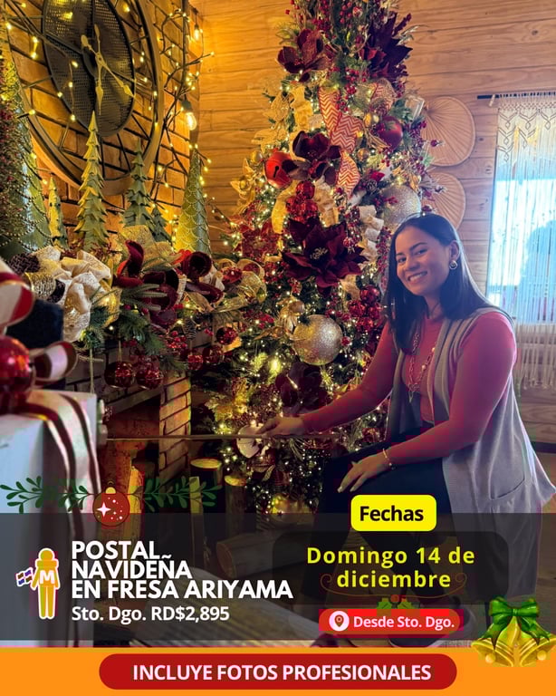 Tour Postal Navideña en Fresas Ariyama