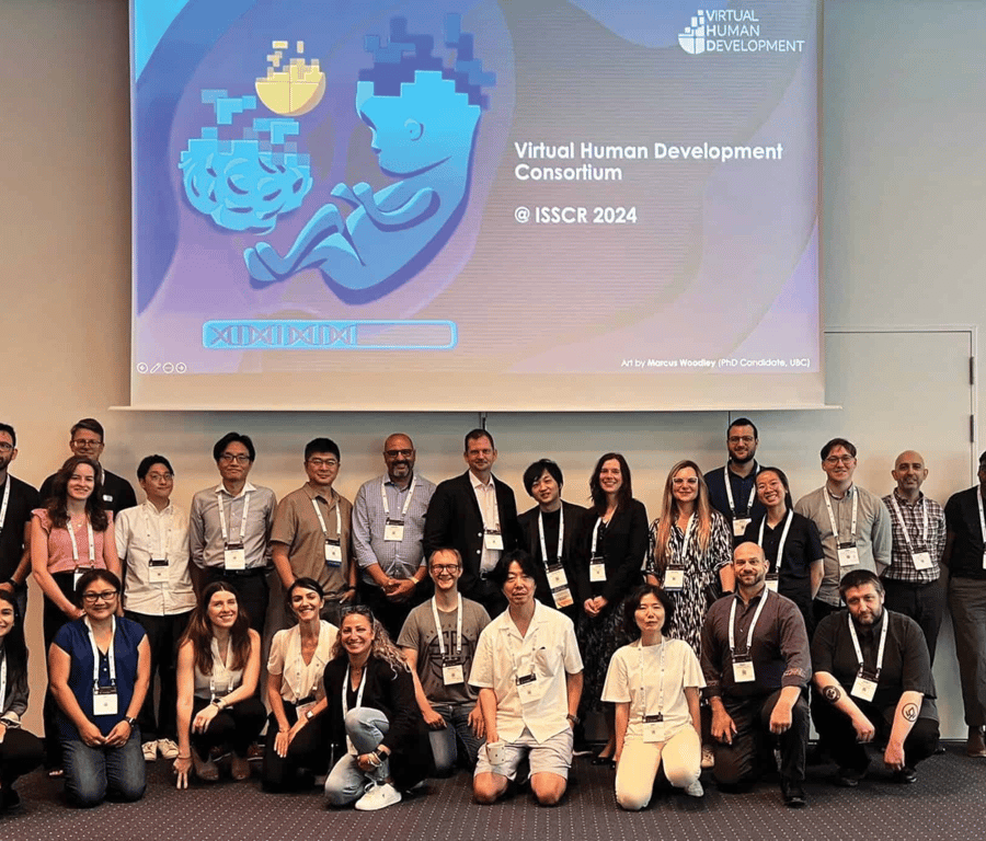 Developmental biology goes virtual