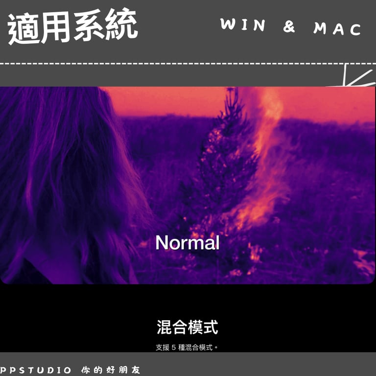 notion image