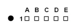 notion image