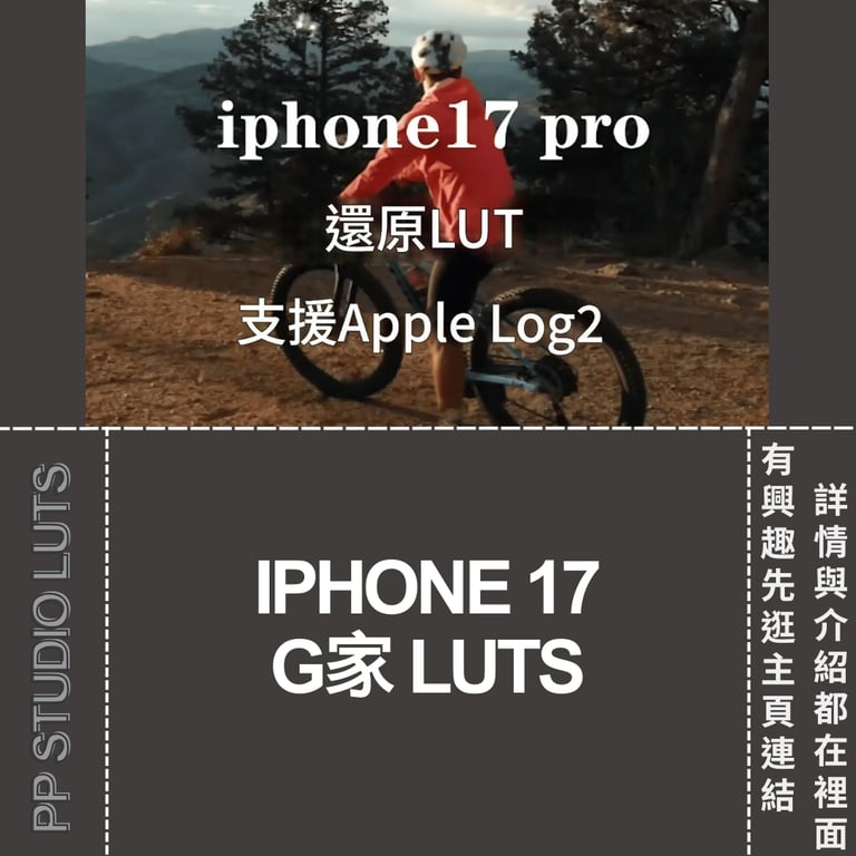 notion image