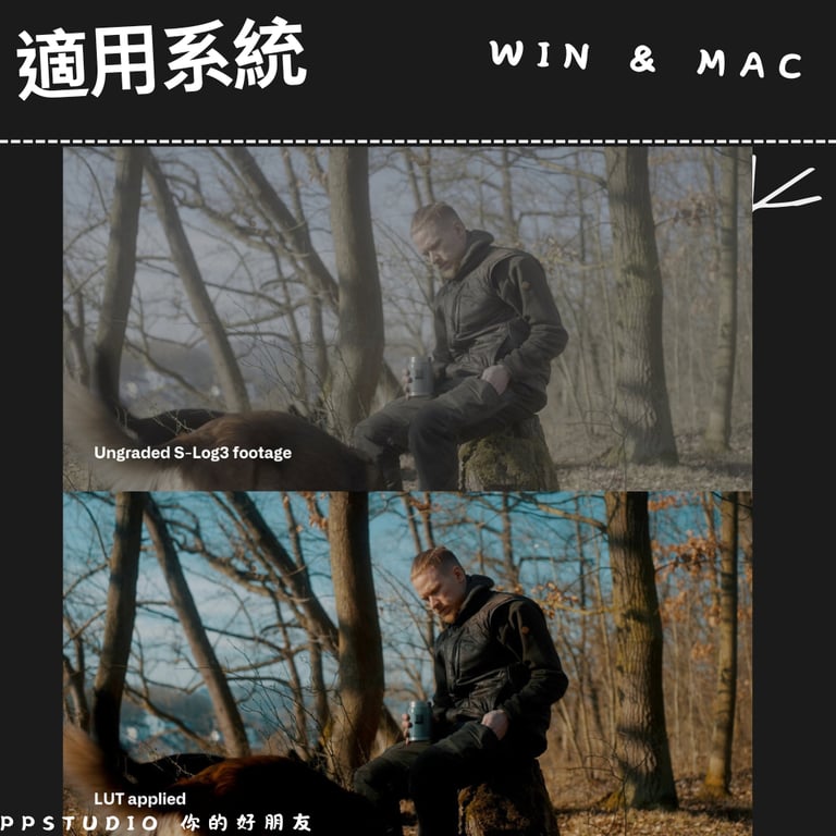 notion image