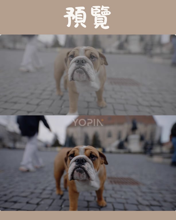 notion image