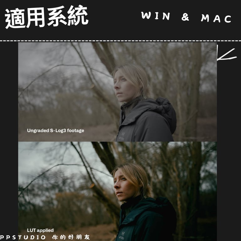 notion image