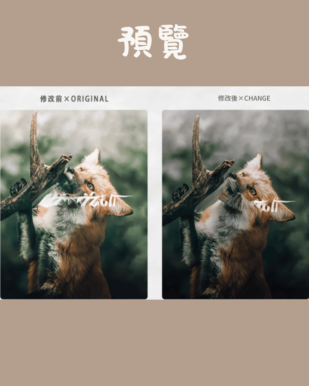 notion image