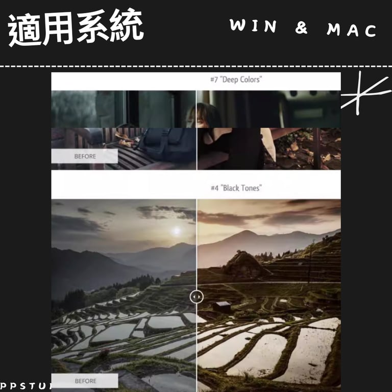notion image