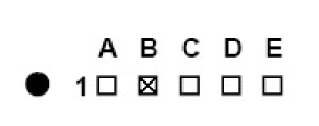 notion image