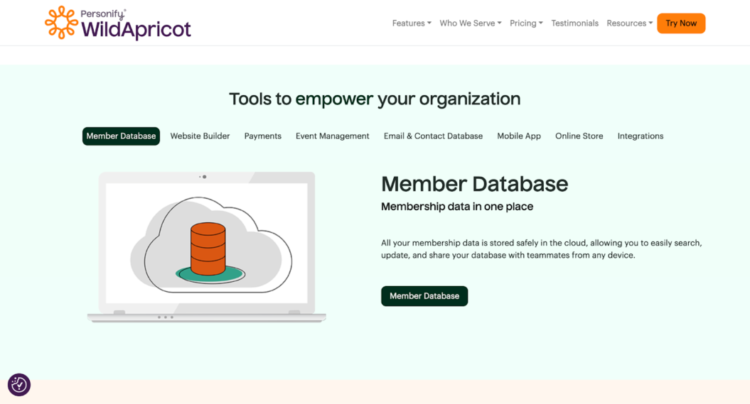 notion image