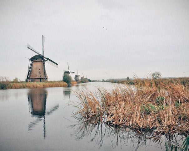 ibm-engineer-quits-job-instagram-celebrity-croyable-eelco-roos-netherlands-9