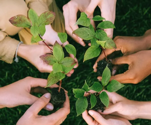 Donor Segmentation: A Major Opportunity