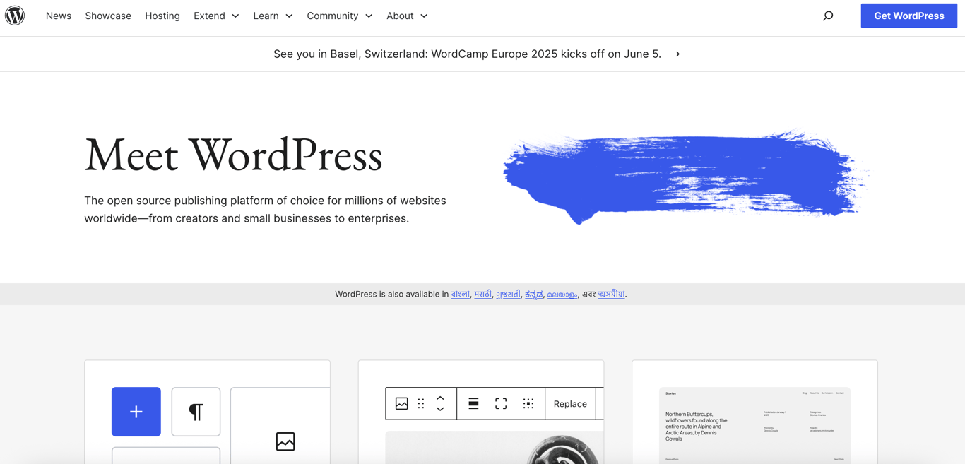 WordPress dashboard interface