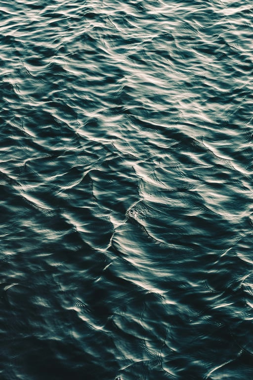 notion image