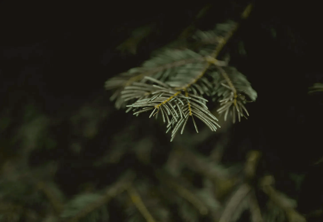 notion image
