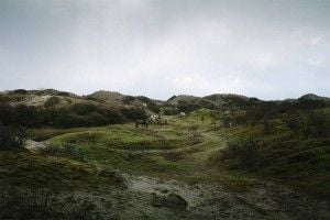eelco-8-900x600
