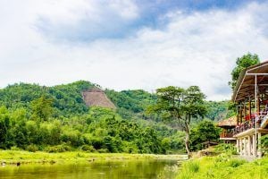 VNam vitieubao