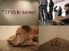 Vargas_vie_de_chien
