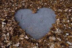 Amoureux_de_la_vie
