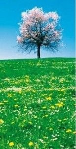 Printemps_equilibre_vie_prive_vie_professionnelle