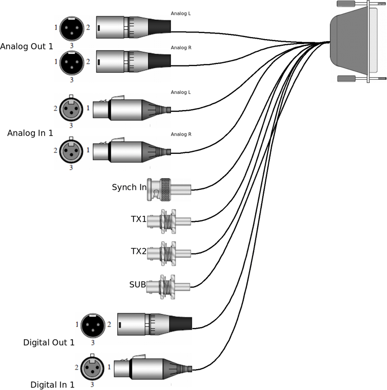 notion image