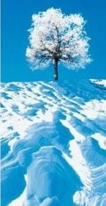 hiver_equilibre_vie_prive_vie_professionnelle