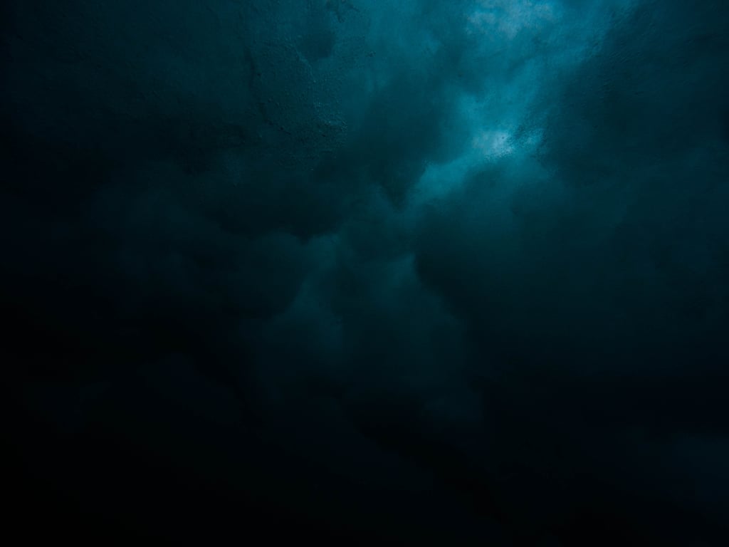 notion image