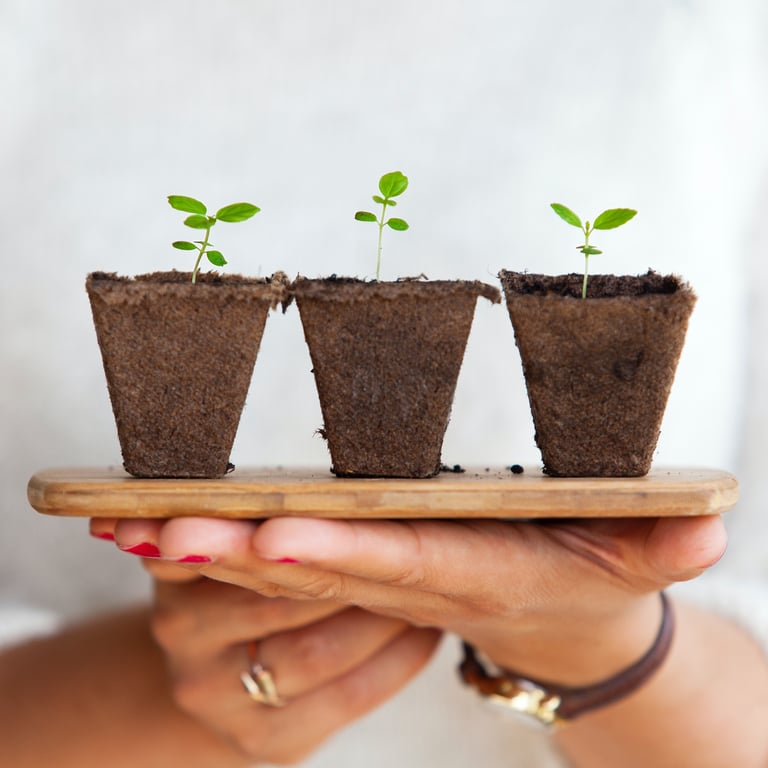 Zaruq Summers | Digital Marketing | Growth Hacks for Businesses and Freelancers