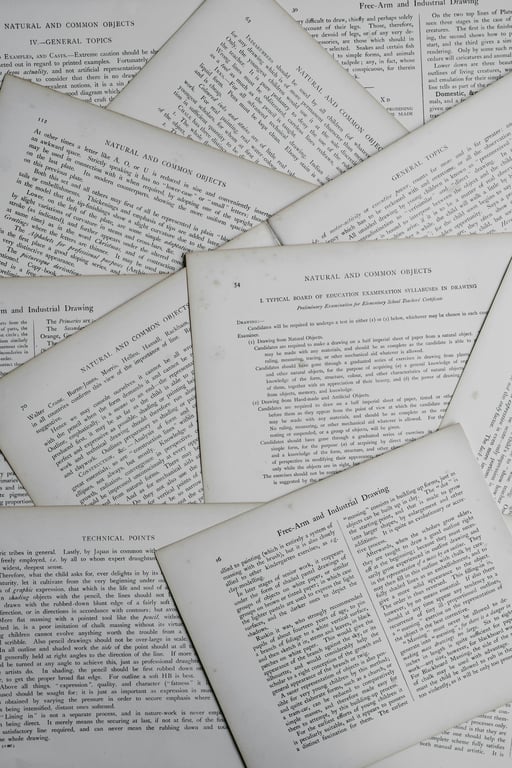 📚 2. Literatuuronderzoek