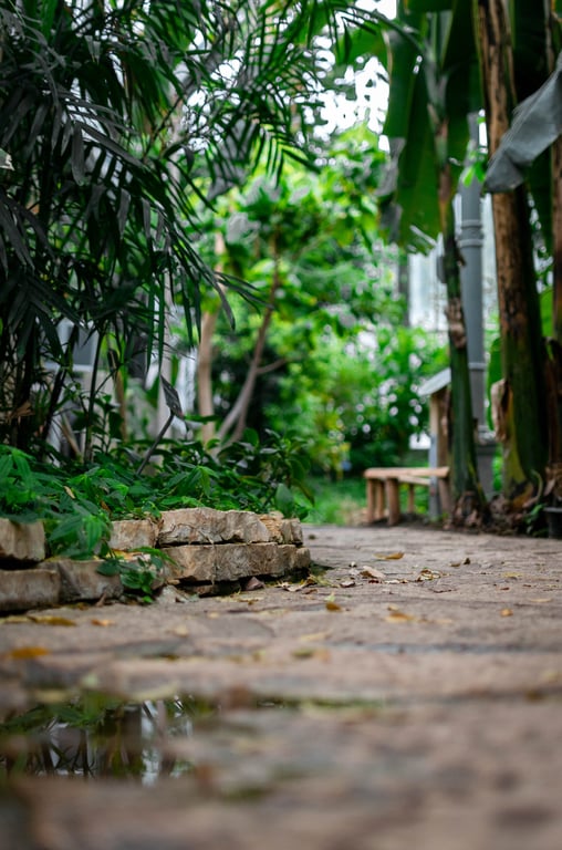 Finca Landscape