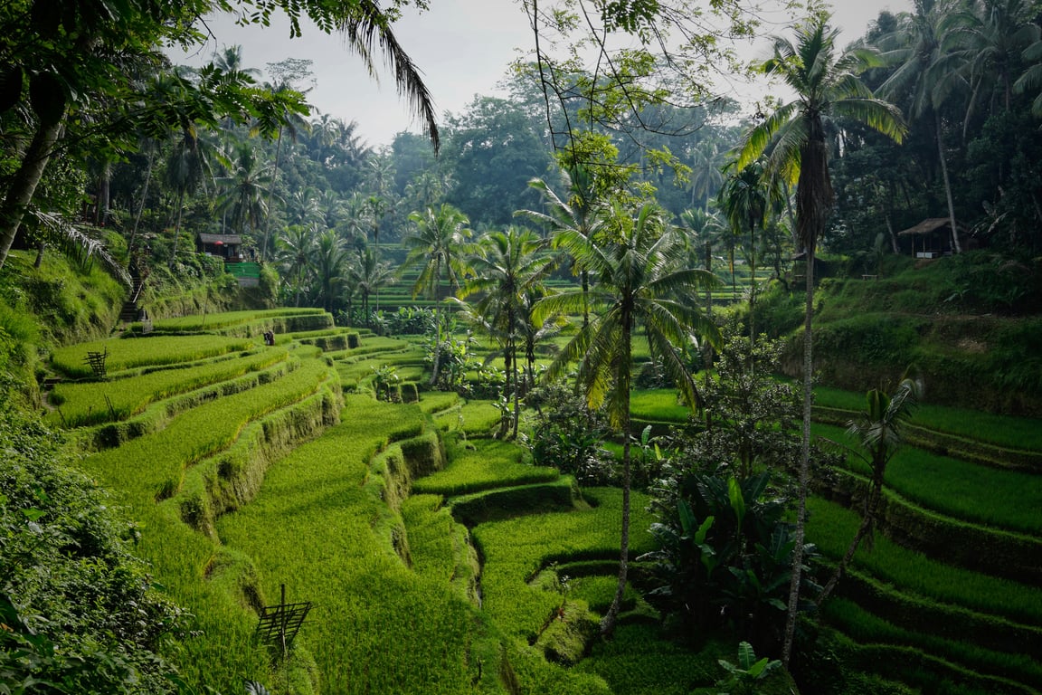 A 9-Day Sacred Journey in Bali