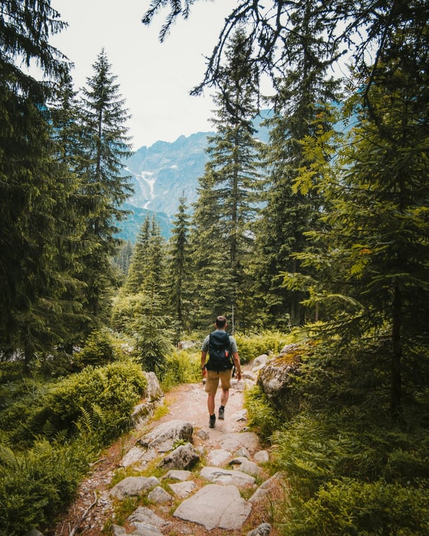 Photo by Josh Hild on Unsplash
