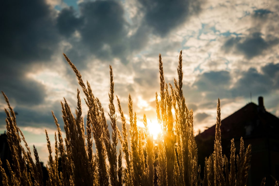 Parki Wrocławia - Twój przewodnik po zielonych zakątkach miasta