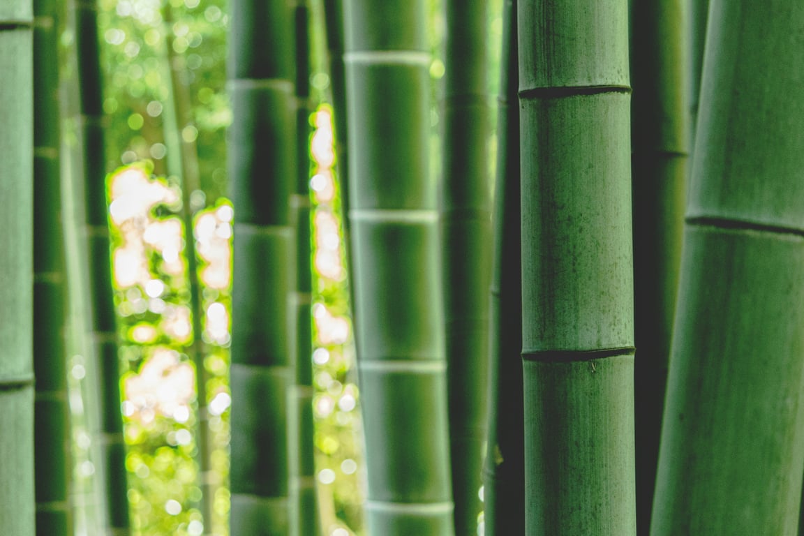 BambooHR to CSI payroll integration: one-way sync + timing