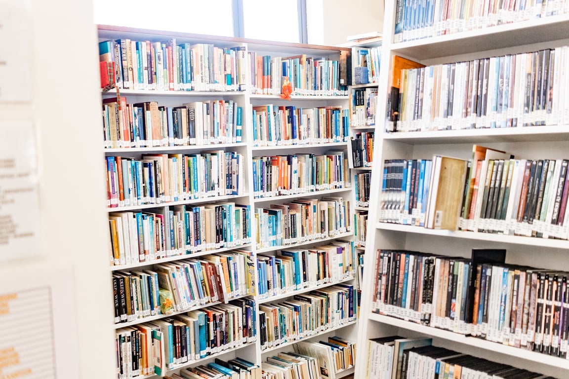 Literary Companions: Books That Have Shaped My Journey