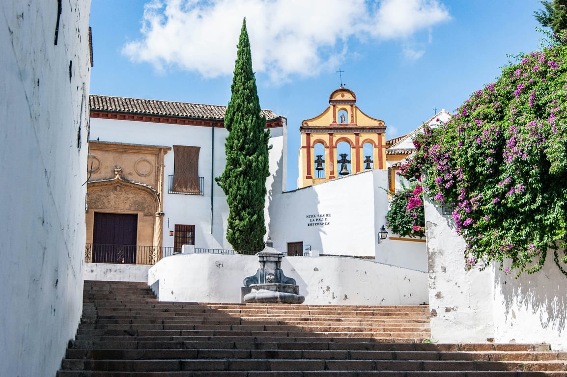 Andalusia Travel Services