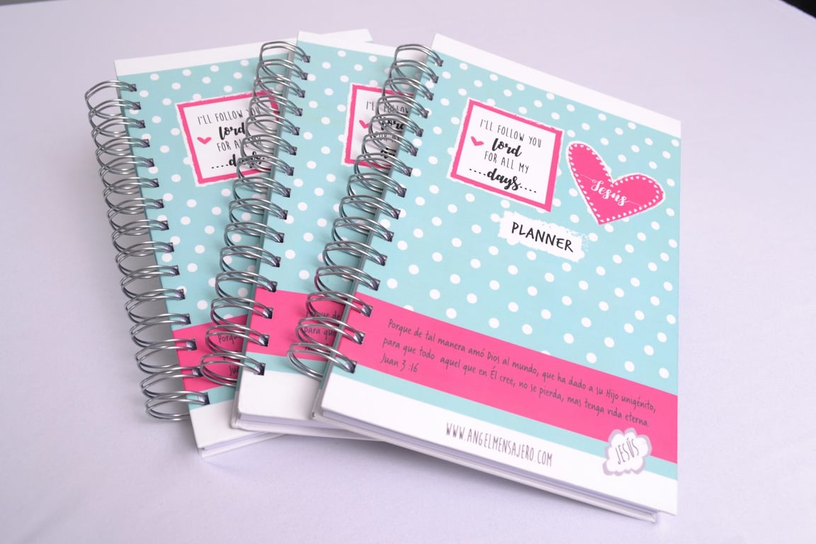 노션 데이터베이스 열 너비 자동 조정하는 방법