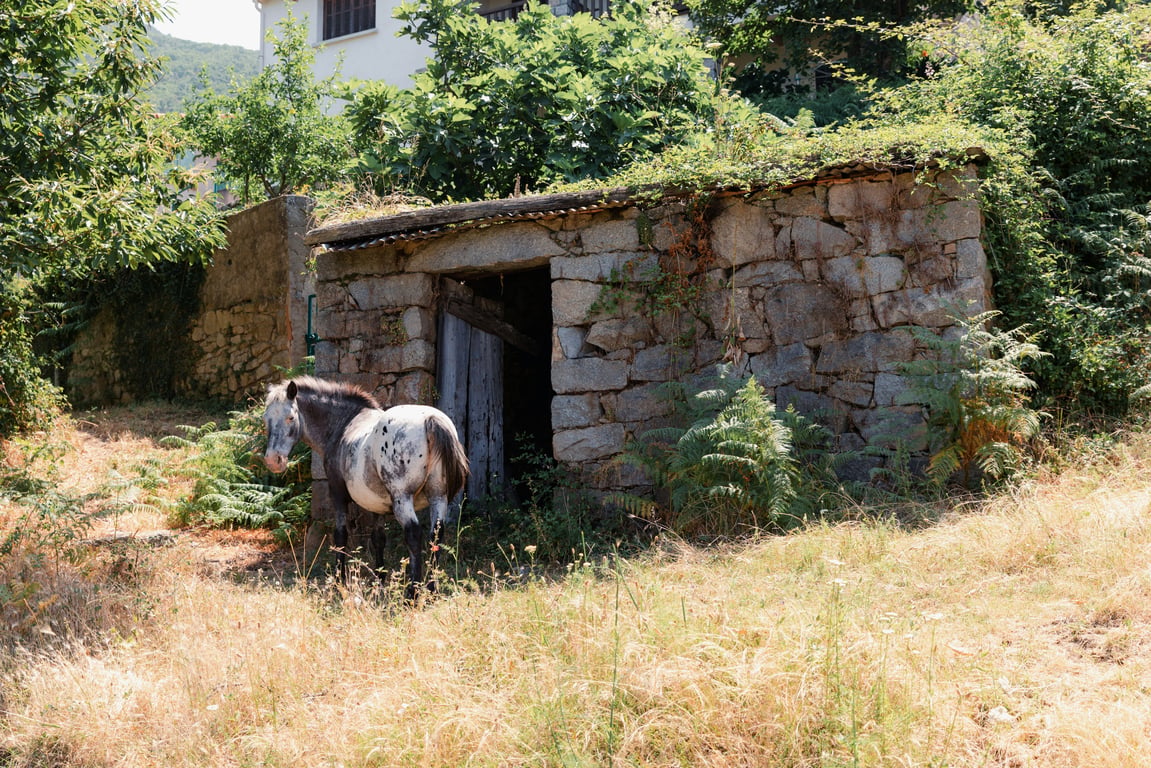 A 7-Day Sacred Journey in the Tarn Valley, France