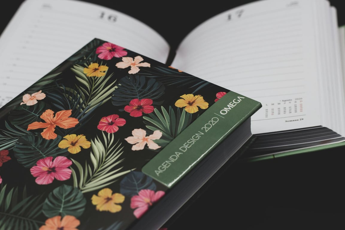 노션 데이터베이스 열 너비 제한 없이 줄이는 방법