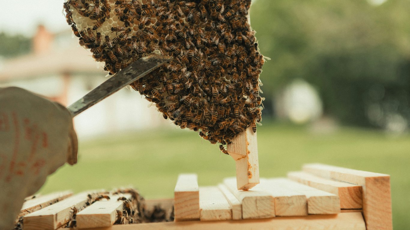 How to Auto-Populate Hive Template Fields from Parent Action Cards