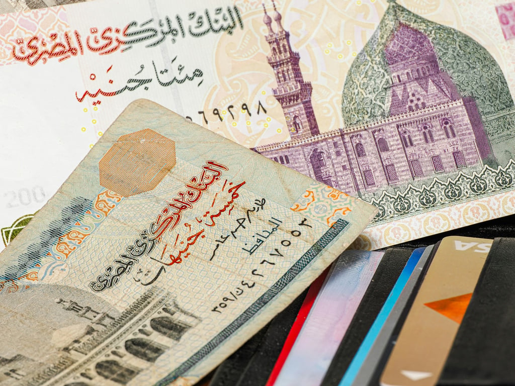 Arabic RTL invoice portal from Zoho Books via Zapier