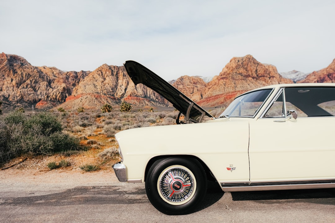 노션 2.4.5 업데이트 - 새로운 기능 총정리